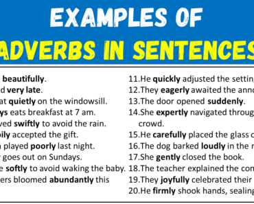 100 Examples of Adverbs in Sentences