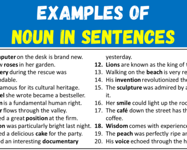20 Examples of Noun in Sentences