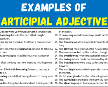 20 Examples of Participial Adjectives in Sentences