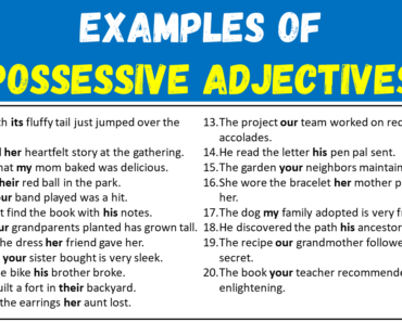 100 Examples of Possessive Adjectives (Definition and Examples)