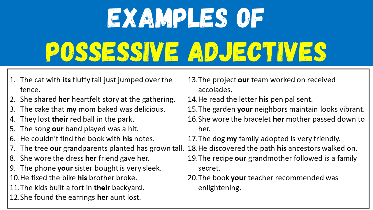 100 Examples of Possessive Adjectives (Definition and Examples) - EngDic