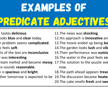 100 Examples of Predicate Adjectives in Sentences