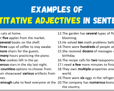 100 Examples of Quantitative Adjectives in Sentences