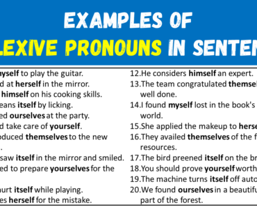 20 Examples of Reflexive Pronouns in Sentences