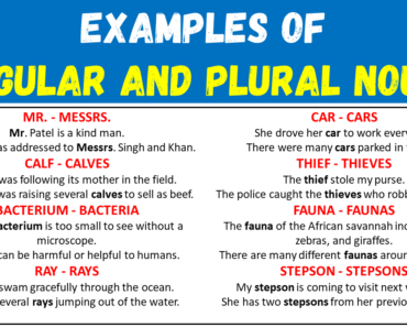 50 Examples of Singular and Plural Nouns in Sentences