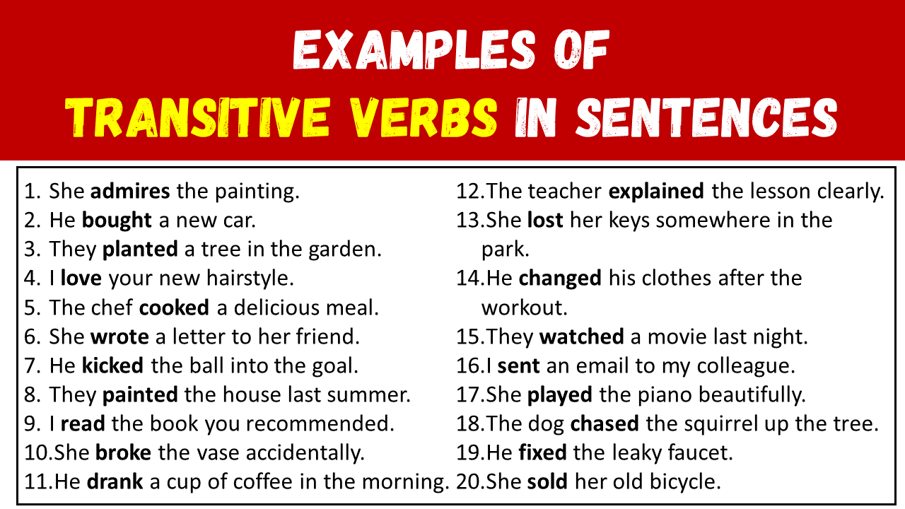 Examples of Transitive Verbs in Sentences