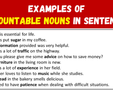 10 Examples of Uncountable Nouns in Sentences
