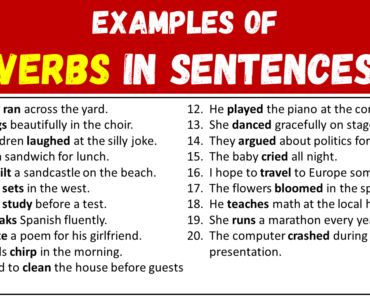 20 Examples of Verbs in Sentences