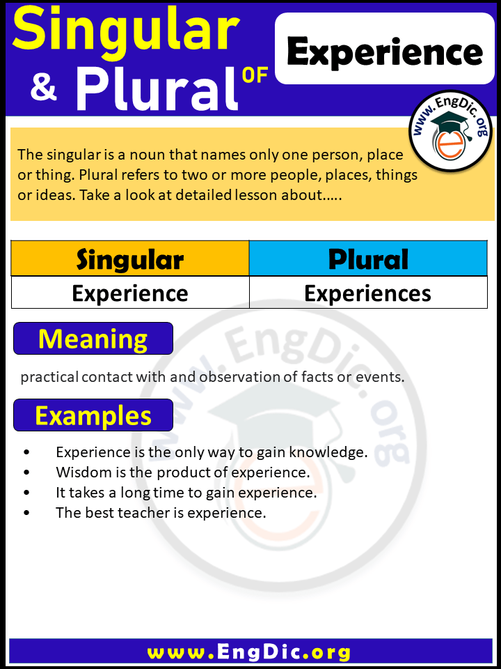 Experience Plural, What is the plural of Experience?