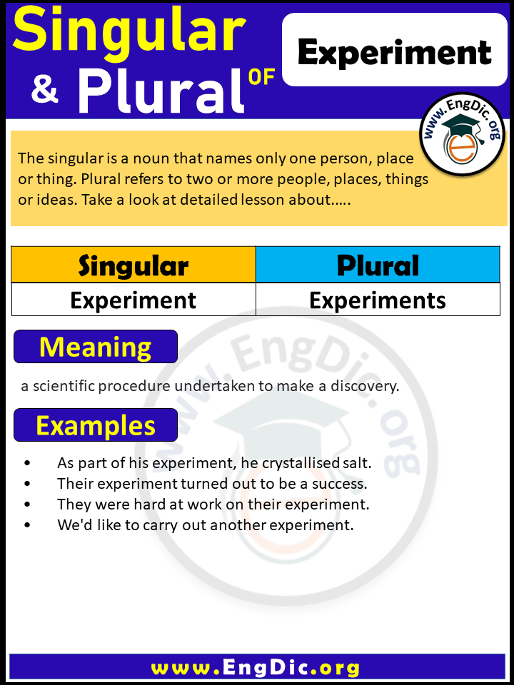Experiment Plural, What is the plural of Experiment?