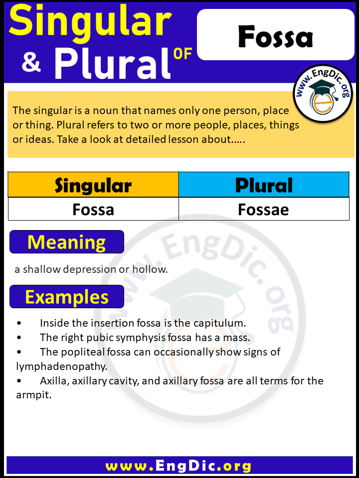 Fossa Plural, What is the plural of Fossa?
