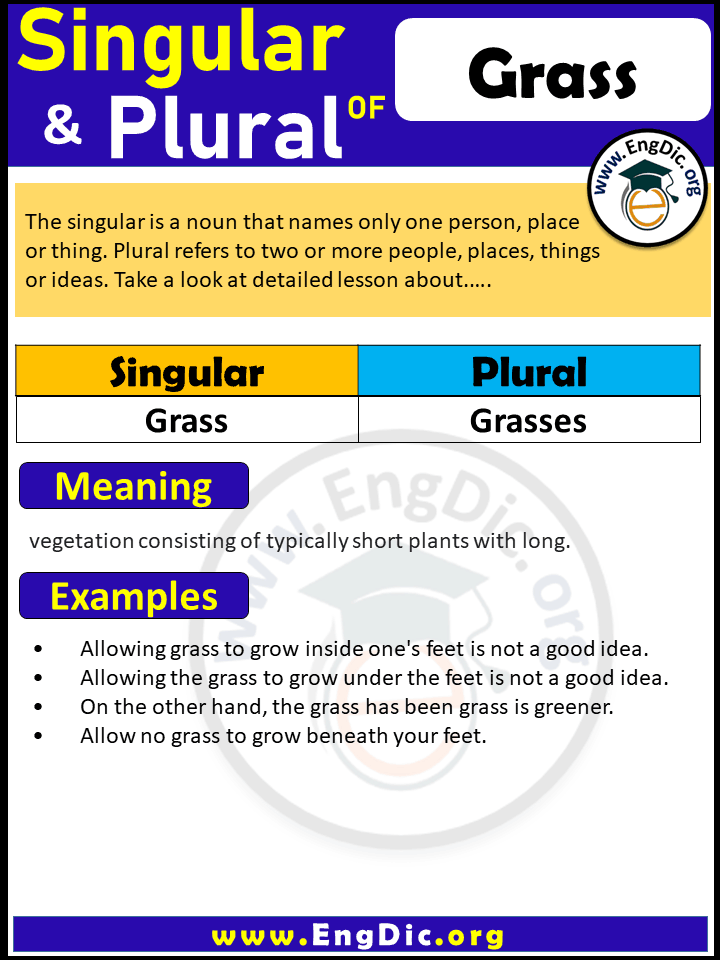 Grass Plural, What is the plural of Grass?