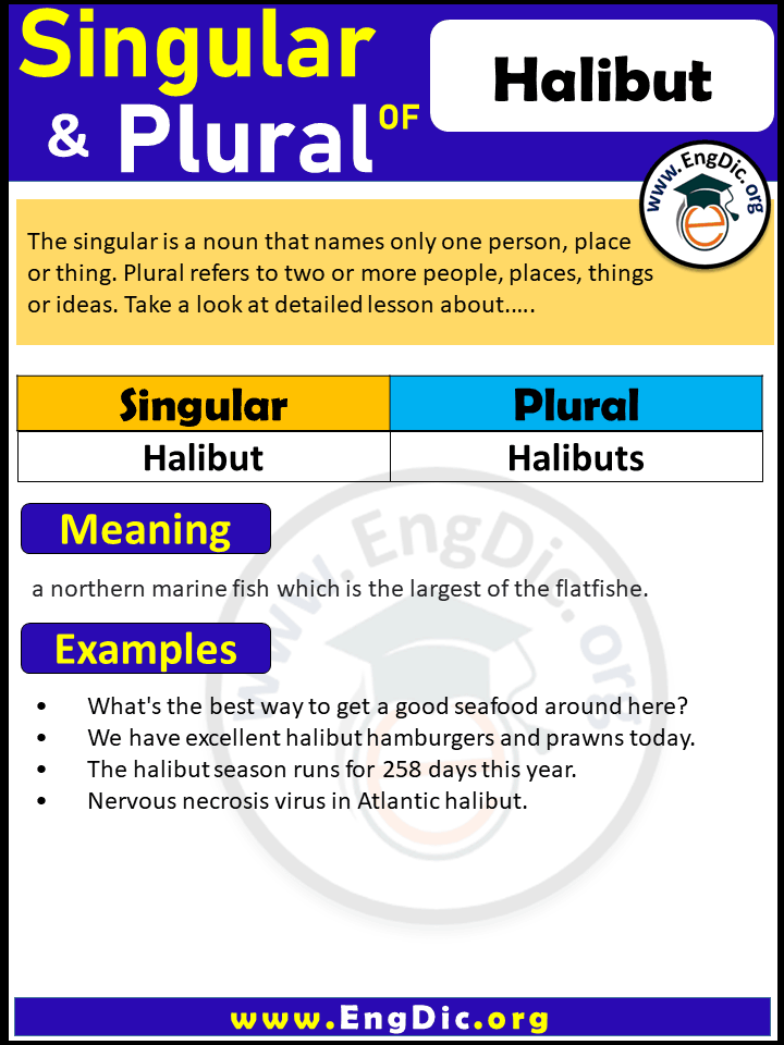 Halibut Plural, What is the plural of Halibut?