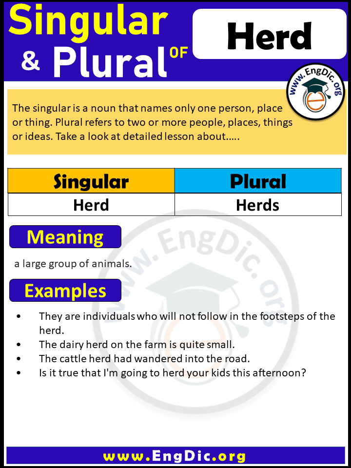 Herd Plural, What is the plural of Herd?