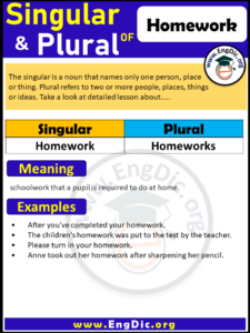 plural tense of homework