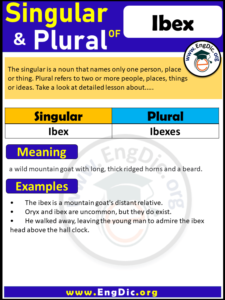Ibex Plural, What is the plural of Ibex?