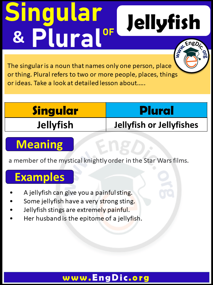 Jellyfish Plural, What is the plural of Jellyfish?