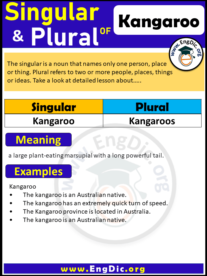 Kangaroo Plural, What is the plural of Kangaroo?