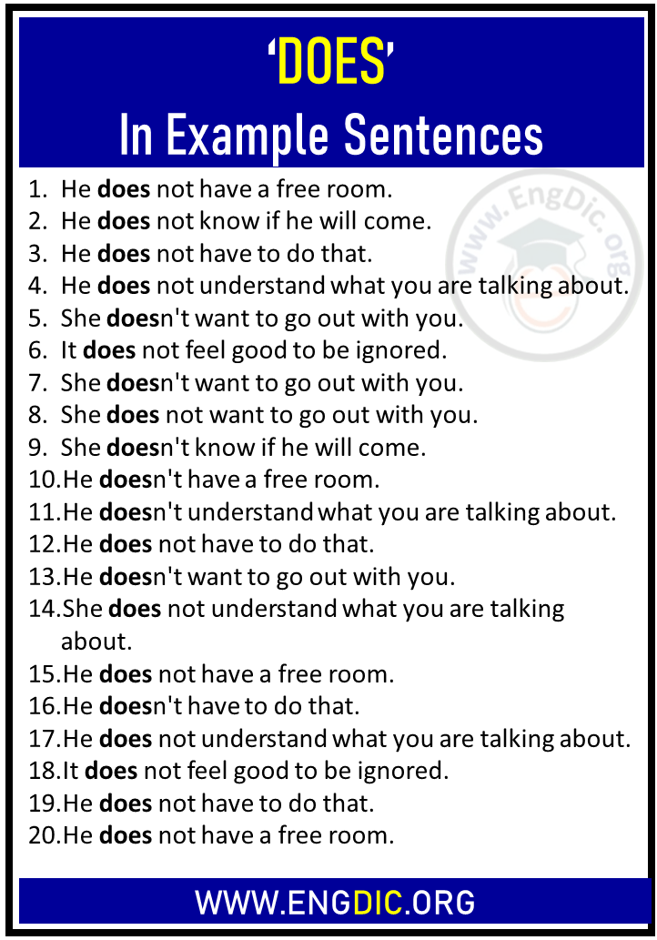 does in example sentences