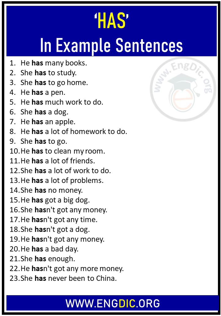 20 Sentences Using HAS HAS In Example Sentences EngDic
