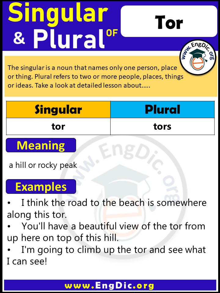 Tor Plural, What is the Plural of Tor?