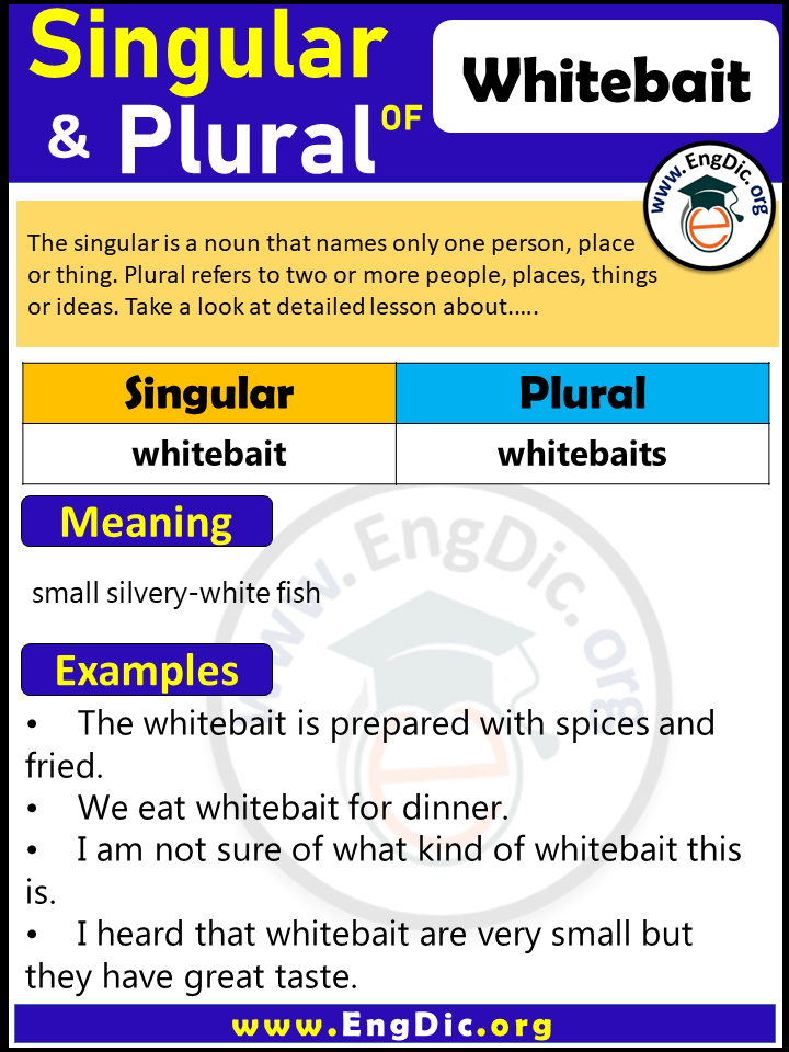 Whitebait Plural, What is the Plural of Whitebait?