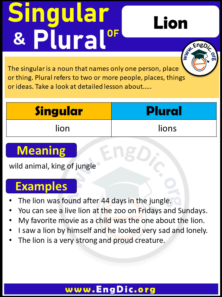Lion Plural, What is the Plural of Lion?