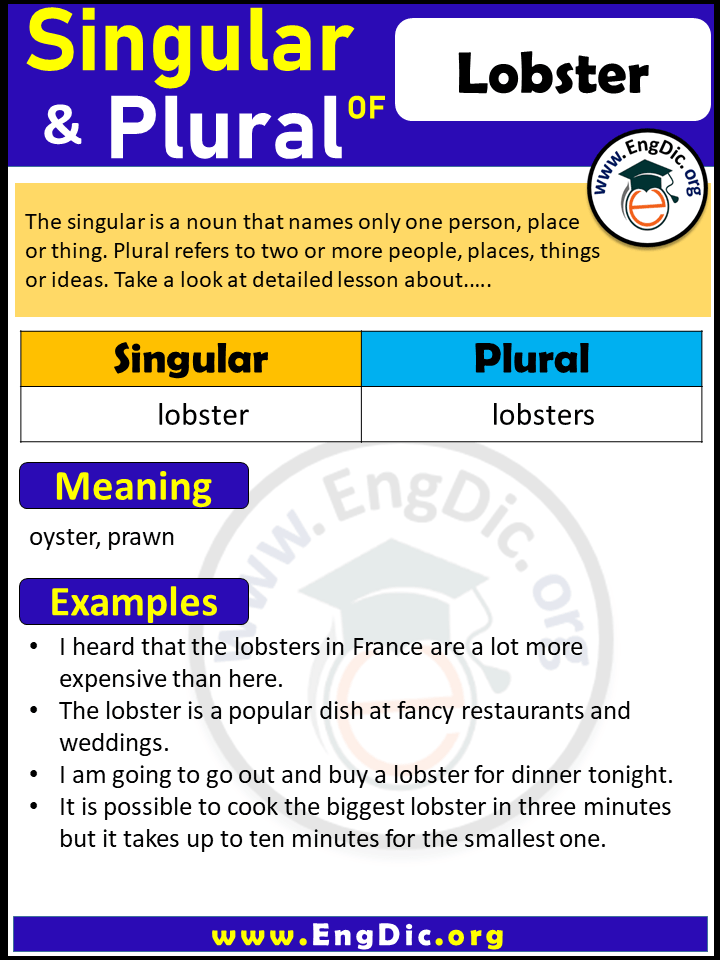 Lobster Plural, What is the Plural of Lobster?