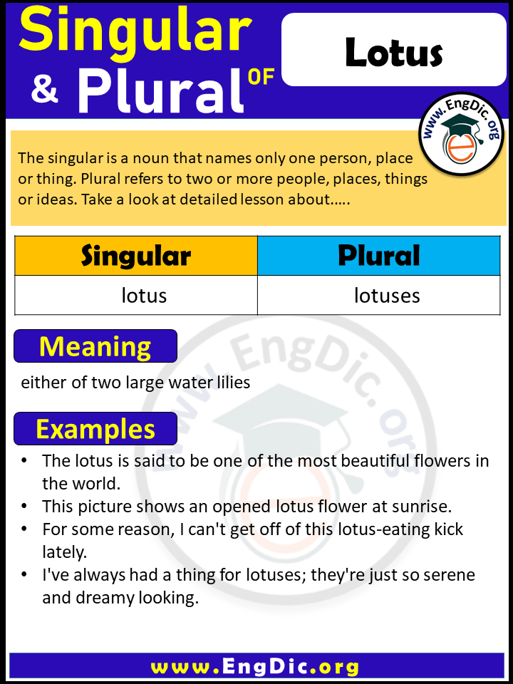 Lotus Plural, What is the Plural of Lotus?