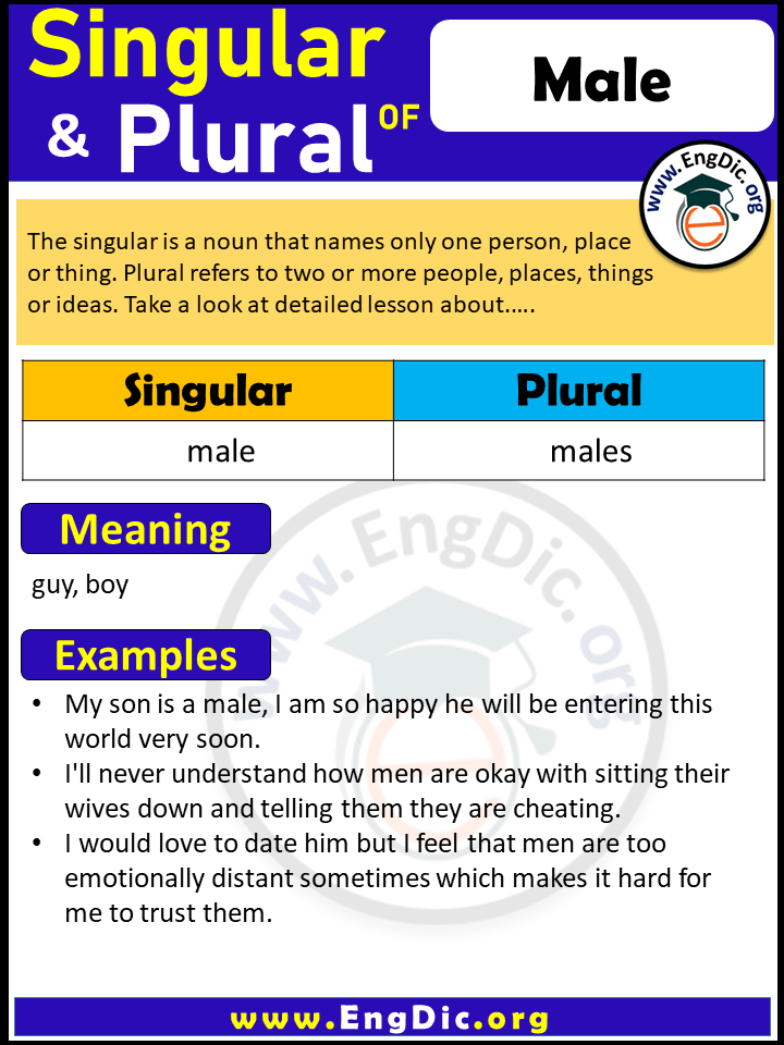 Male Plural, What is the Plural of Male?
