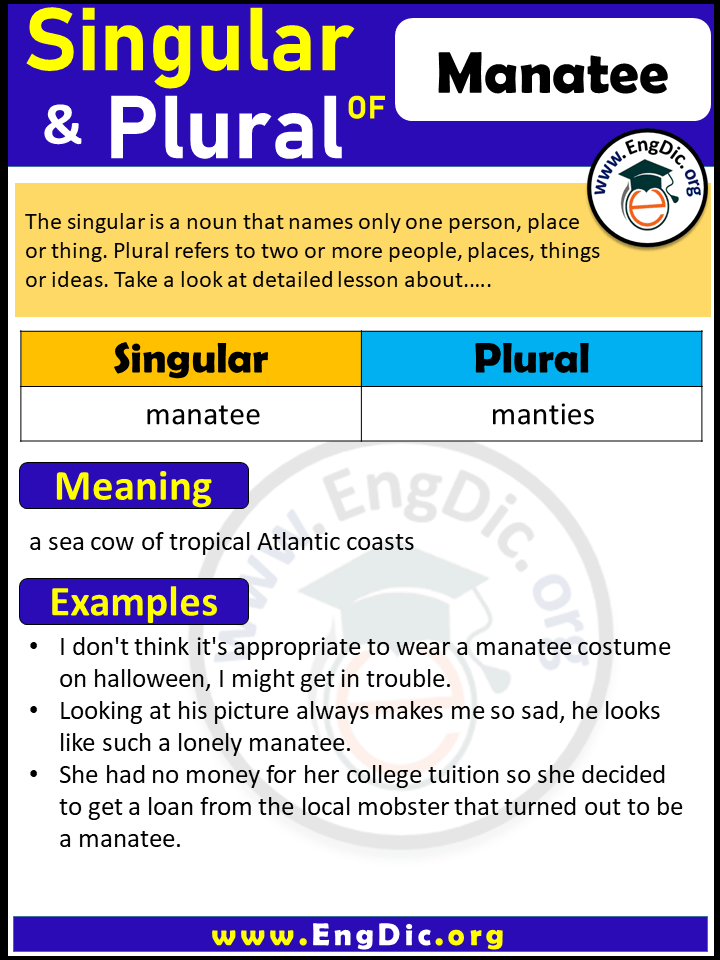 Manatee Plural, What is the Plural of Manatee?