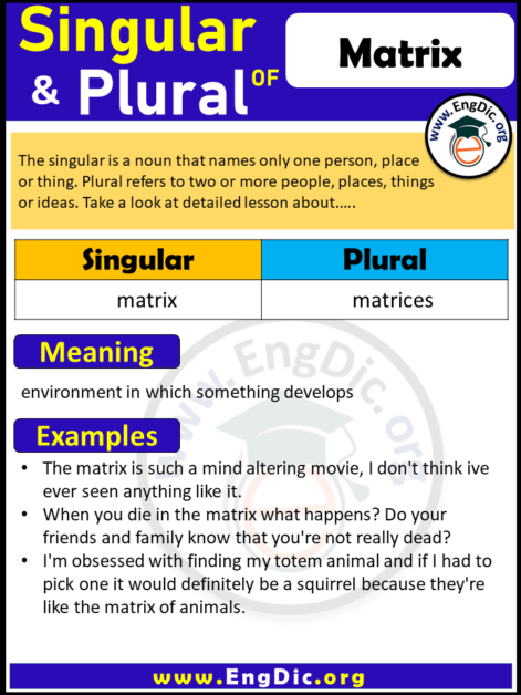 plural-form-of-matrix-archives-engdic