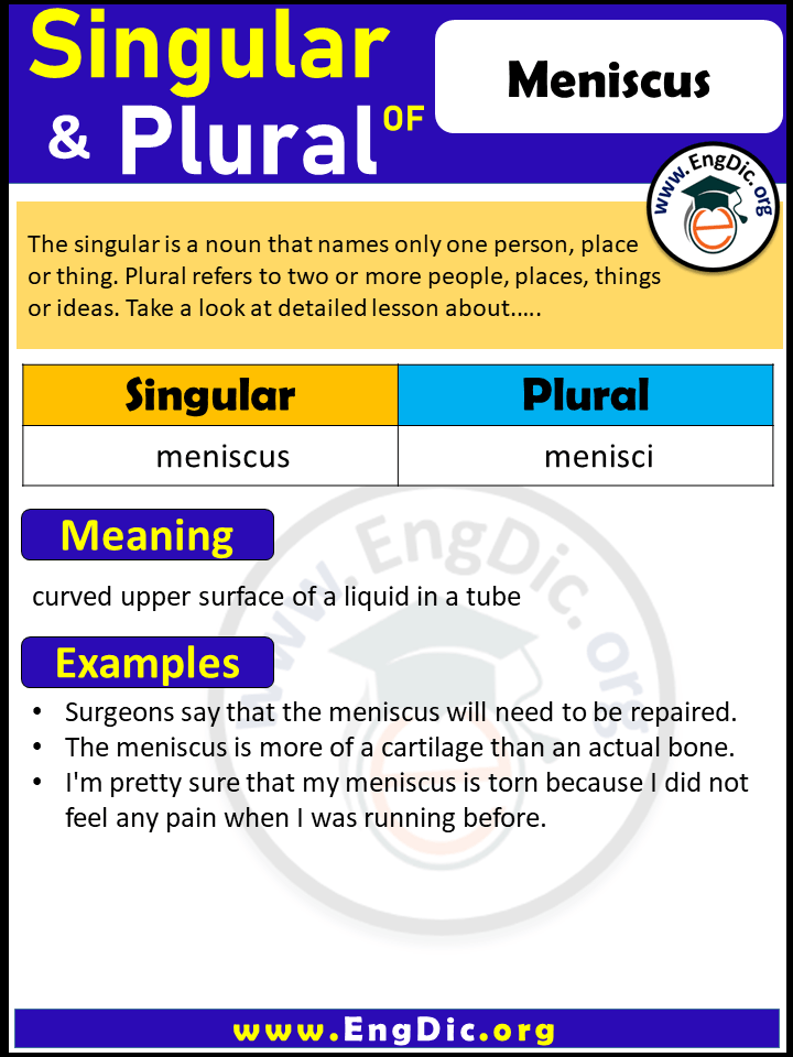 Meniscus Plural, What is the Plural of Meniscus?