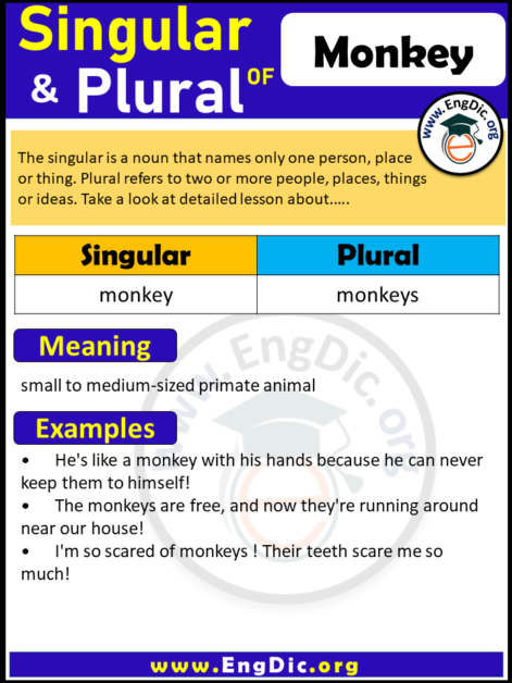 printable-plural-nouns-worksheets-for-kids-tree-valley-academy-in