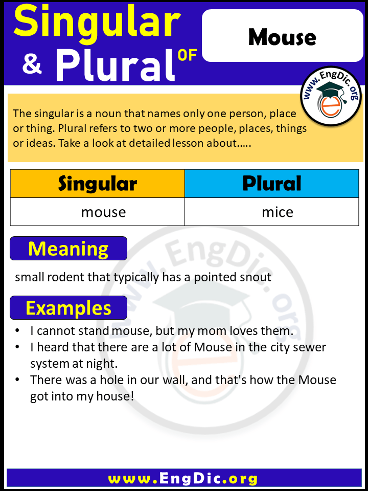 Mouse Plural What Is The Plural Of Mouse EngDic