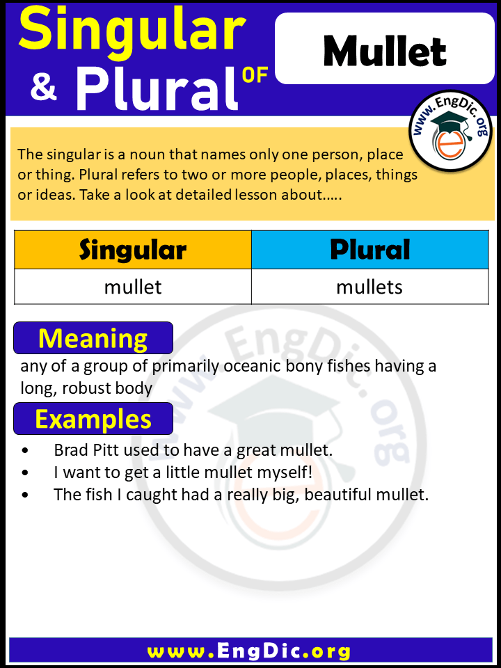 Mullet Plural, What is the Plural of Mullet?