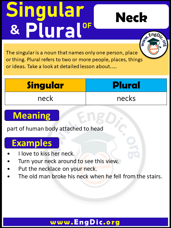 Neck Plural, What is the Plural of Neck?