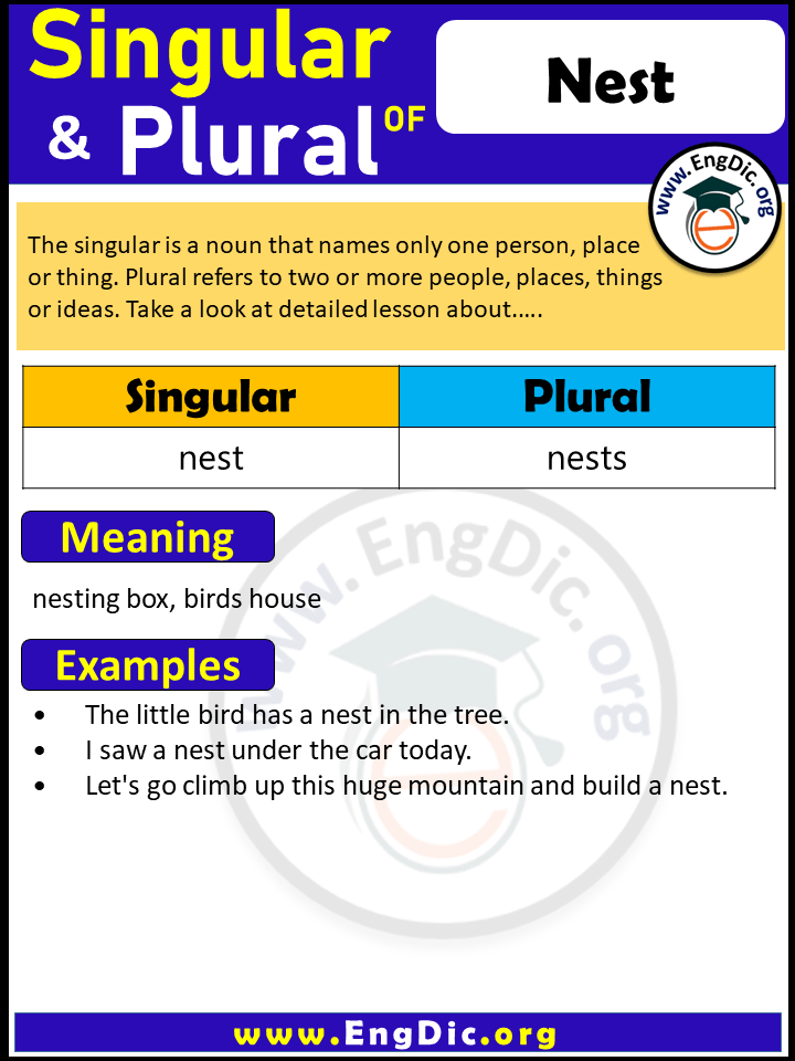 Nest Plural, What is the Plural of Nest?