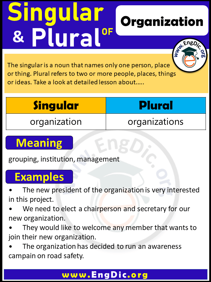 Organization Plural, What is the Plural of Organization?