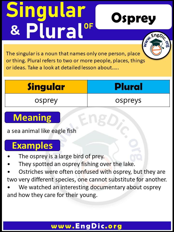 Osprey Plural, What is the Plural of Osprey?