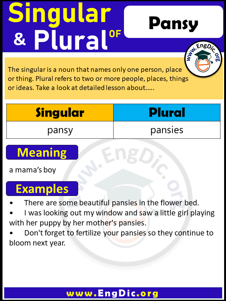 Pansy Plural, What is the Plural of Pansy?