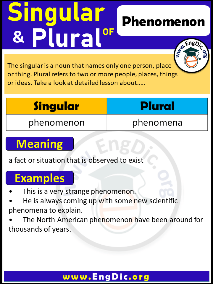 Phenomenon Plural, What is the Plural of Phenomenon?