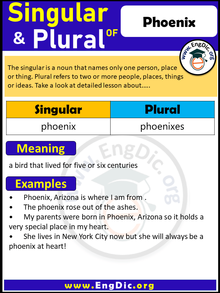 Phoenix Plural, What is the Plural of Phoenix?