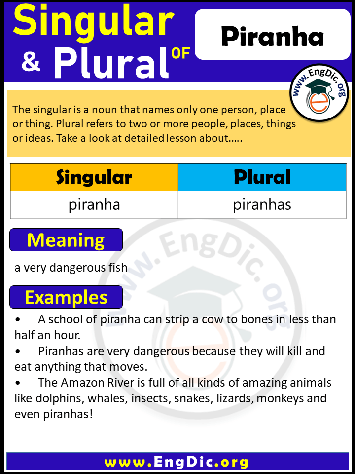 Piranha Plural, What is the Plural of Piranha?