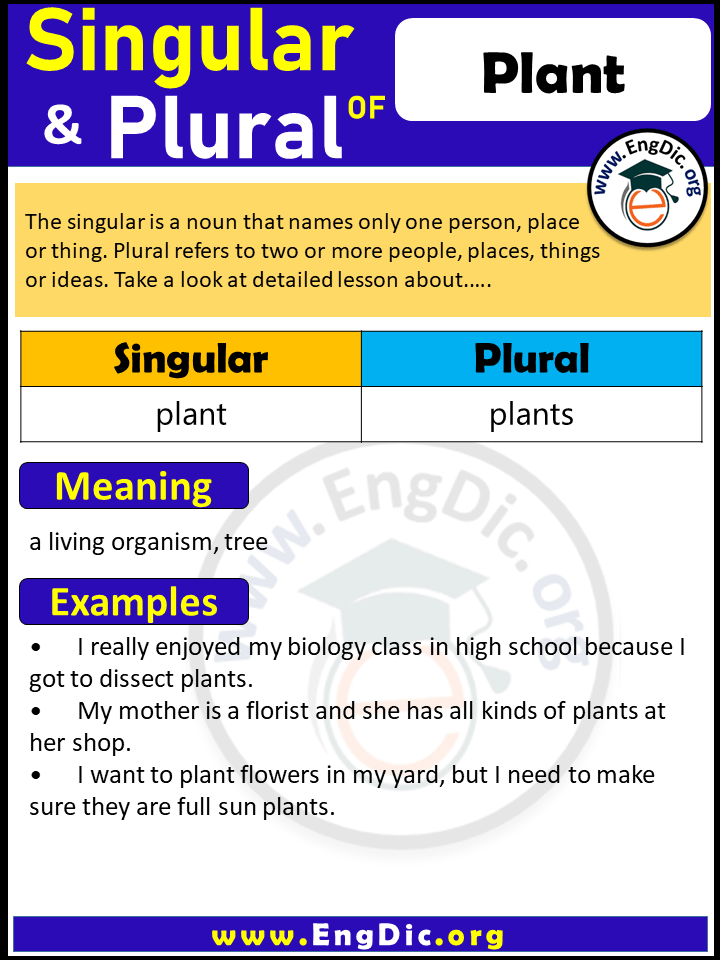 Plant Plural, What is the Plural of Plant?