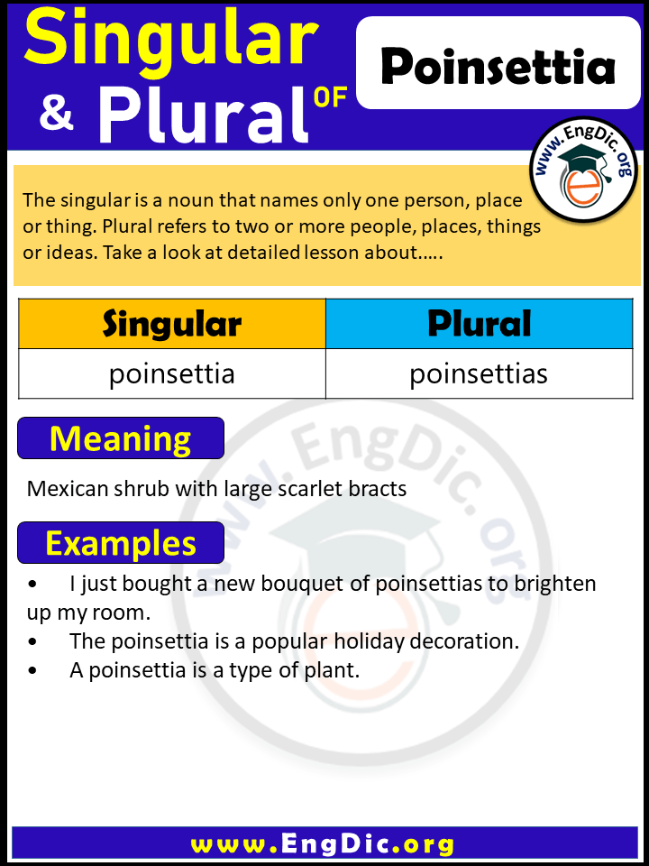 Poinsettia Plural, What is the Plural of Poinsettia?