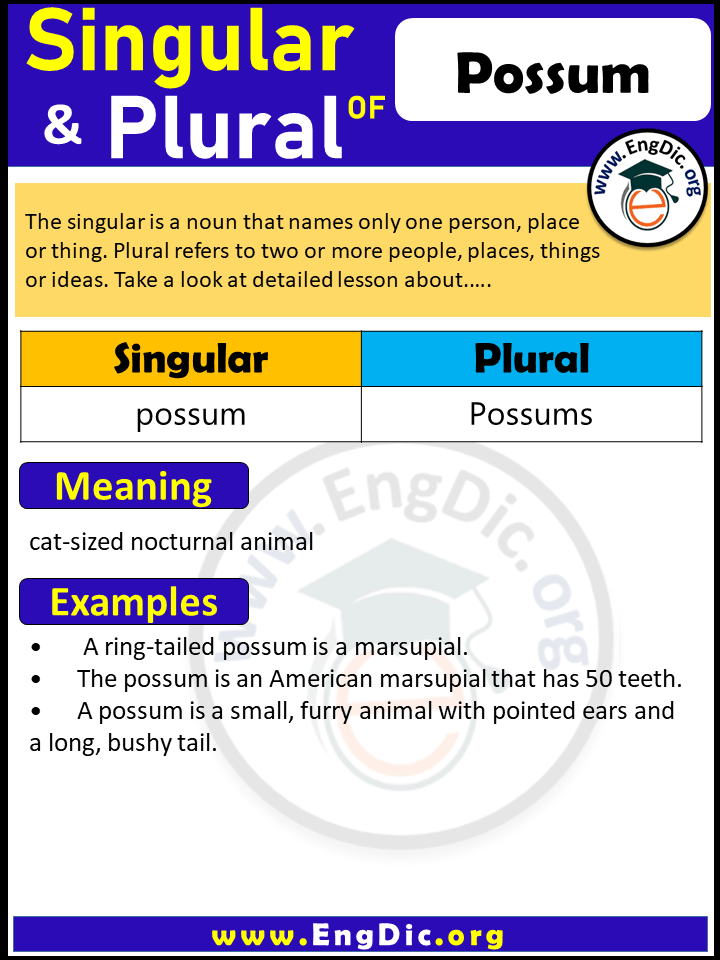 Possum Plural, What is the Plural of Possum?