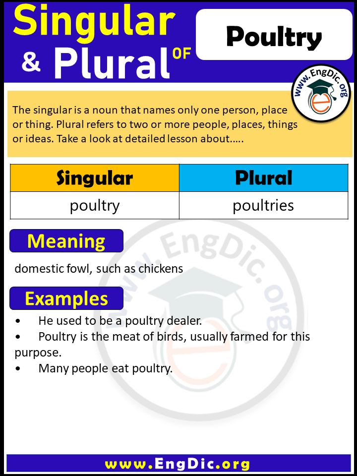 Poultry Plural, What is the Plural of Poultry?