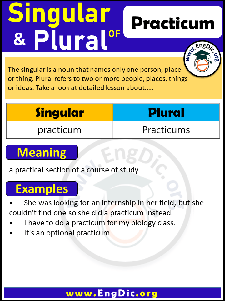 Practicum Plural, What is the Plural of Practicum?