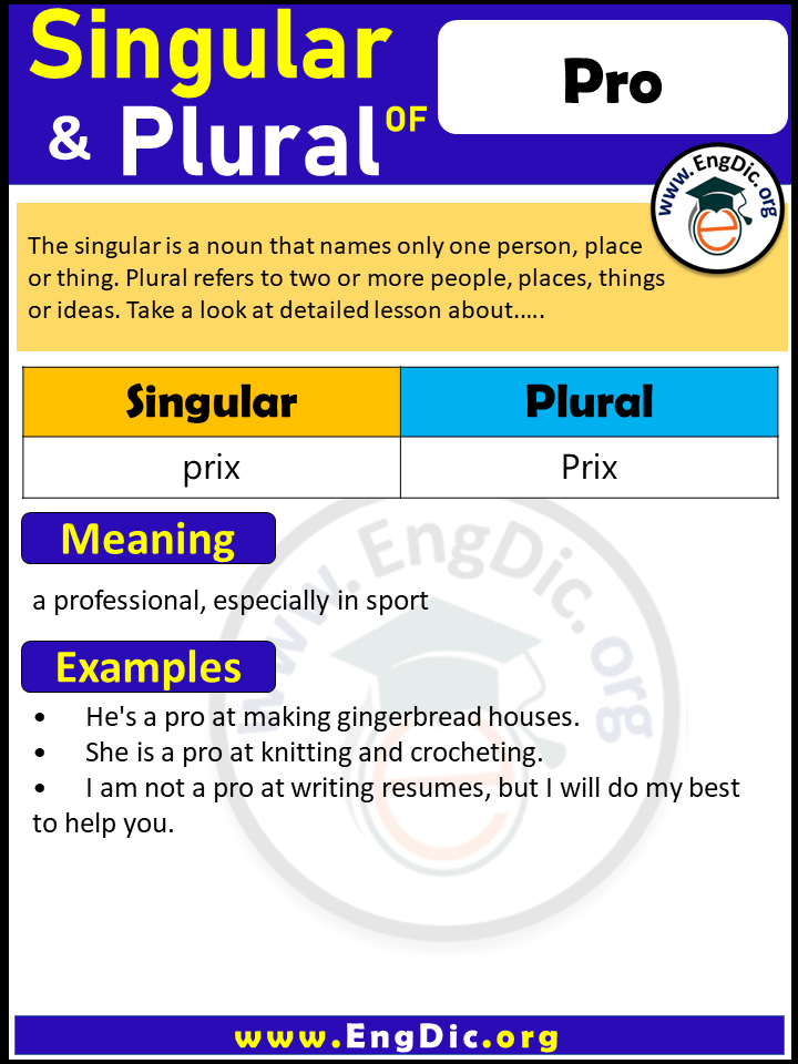 Pro Plural, What is the Plural of Pro?